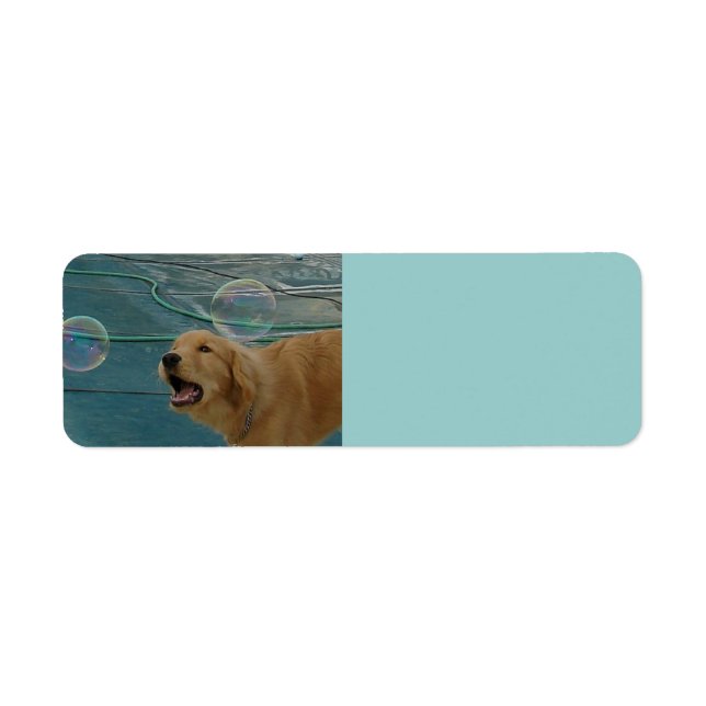 Happy Golden Retriever (Front)