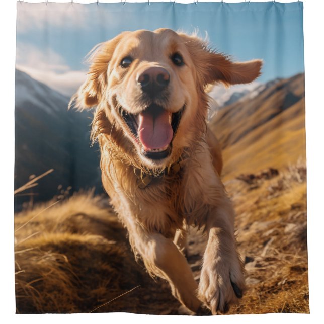 Happy Golden Retriever Running  (Front)