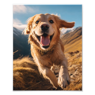 Happy Golden Retriever Running Photo Print
