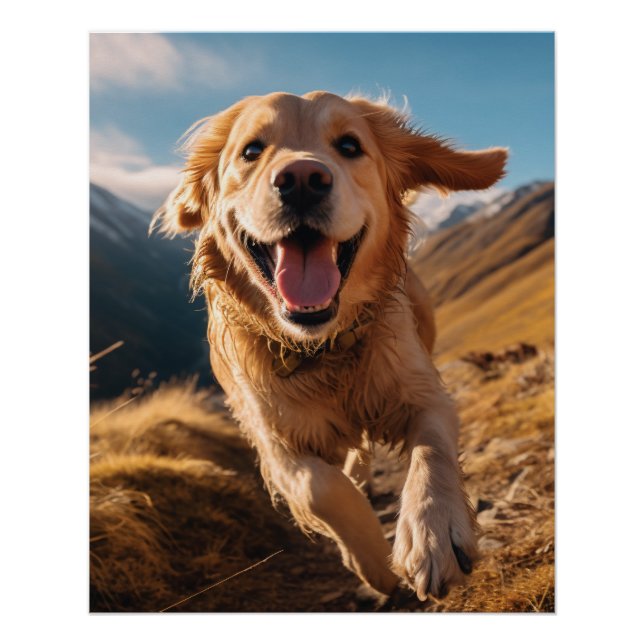 Happy Golden Retriever Running  Poster (Front)