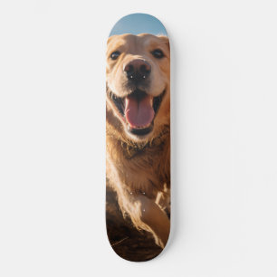 Happy Golden Retriever Running  Skateboard