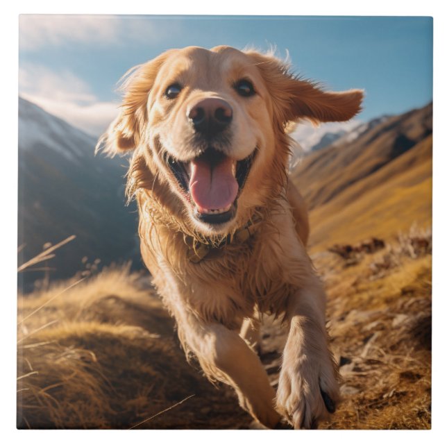 Happy Golden Retriever Running  Tile (Front)
