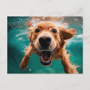 Happy Golden Retriever Swimming Underwater Postcard