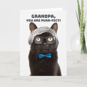 Happy Grandparents Day Grandpa Old Man Cat Humour Holiday Card