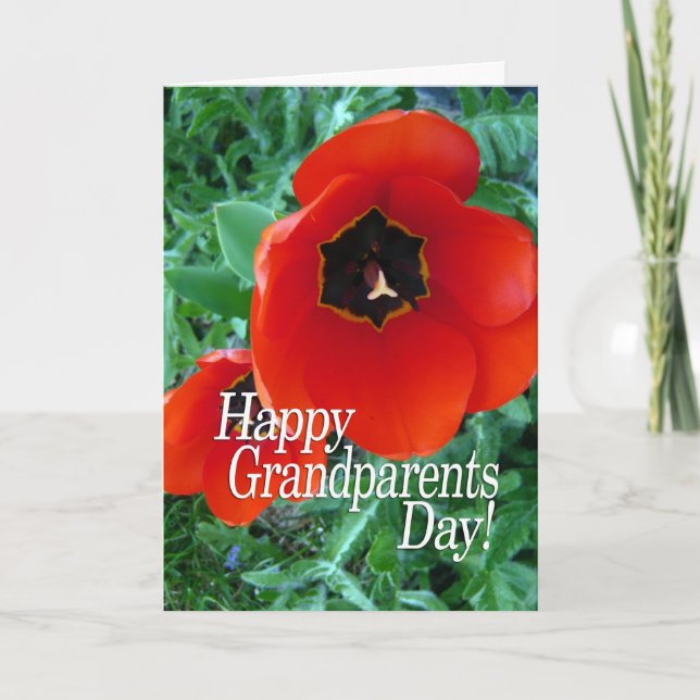 Happy Grandparents Day - Poppy Flowers Card (Front)