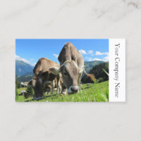 Happy Grazing Cows Photo - Carte de visite