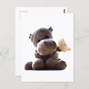 Happy Grey Hippo with Daisy Drawing Photograph  Postcard