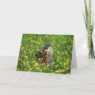 Happy Groundhog Day Card! Card