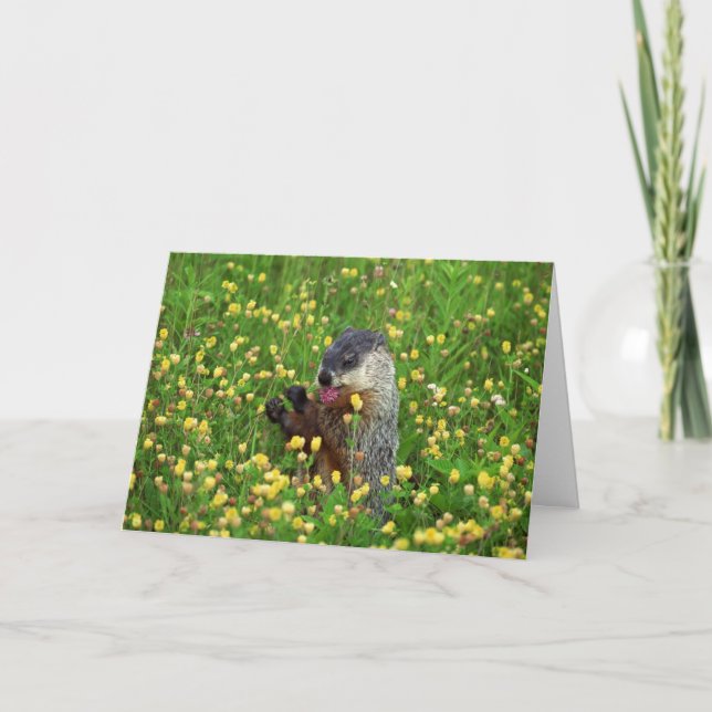 Happy Groundhog Day Card! Card (Front)