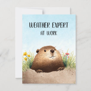 Happy Groundhog Day Cute Colorful Woodchuck  Holiday Card