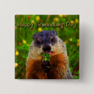Happy Groundhog Day Eating Flower 2 Inch Square Button