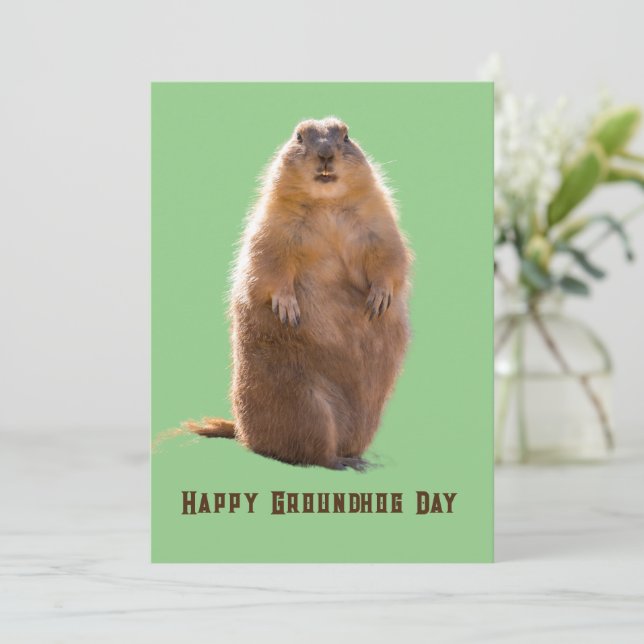 Happy Groundhog Day Funny  Holiday Card (Standing Front)