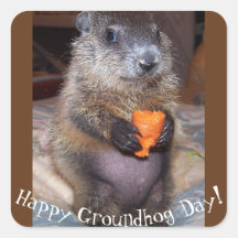 Happy Groundhog Day Stickers
