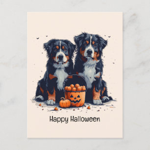 Happy Halloween Bernese Mountain Dogs Pumpkin Postcard