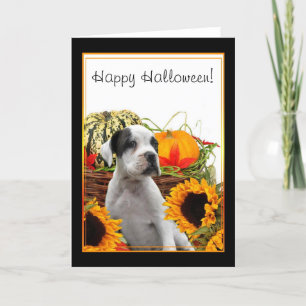 Happy Halloween boxer chiot carte de voeux