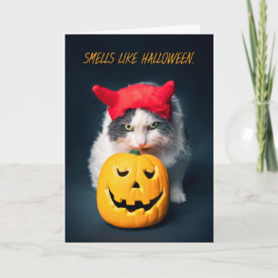 Happy Halloween Cat in Costume Sniffing Pumpkin Holiday Card