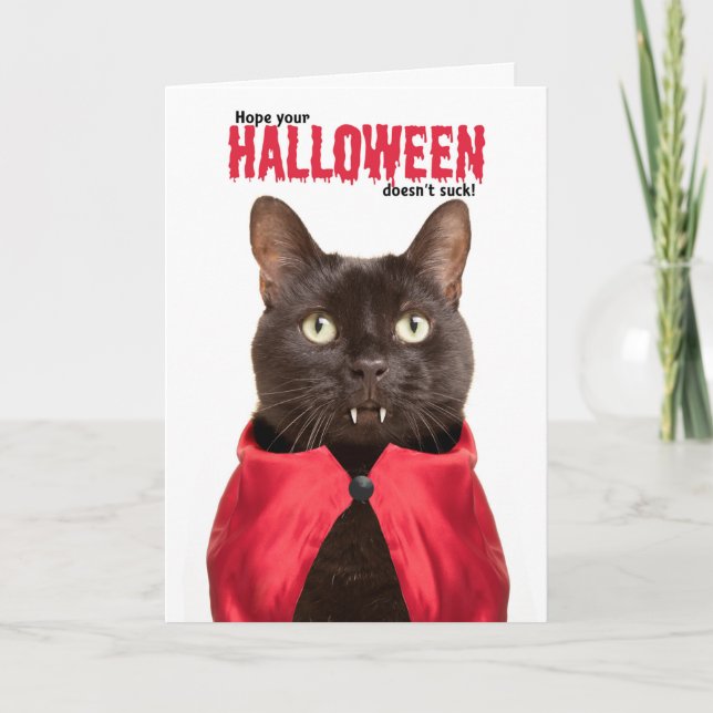 Happy Halloween Cat Vampire Humour Holiday Card (Front)