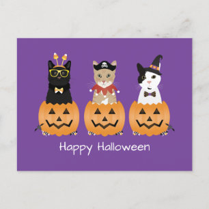Happy Halloween Cats Jack O Lantern Holiday Postcard