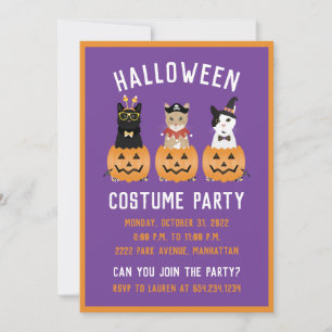 Happy Halloween Cats Jack O Lantern Invitation