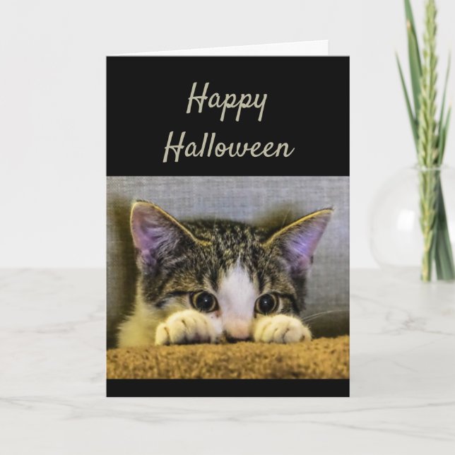 Happy Halloween Cute Scared Kitten Funny Card (Front)