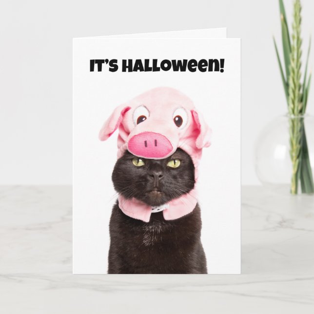 Happy Halloween For Anyone Cat in Pig Cosutme  Holiday Card (Front)