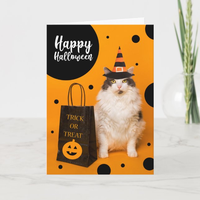 Happy Halloween For Anyone Cute Cat in Witch Hat  Holiday Card (Front)