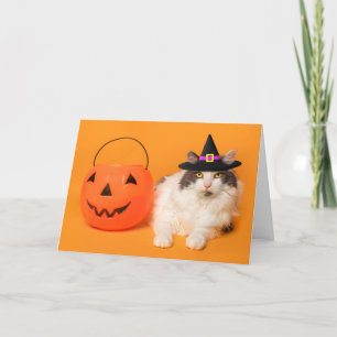 Happy Halloween For Anyone Cute Cat in Witch Hat  Holiday Card
