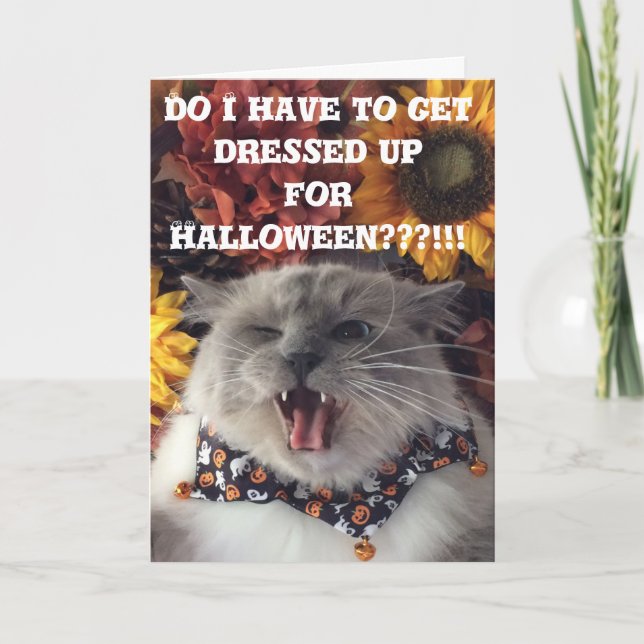 Happy Halloween / Grumpy Cat card (Front)