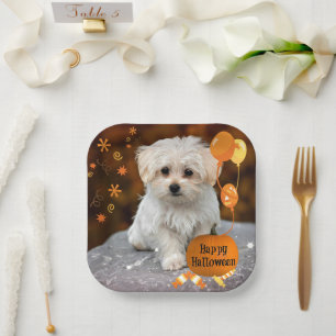 Happy Halloween, Maltese Puppy, Paper Plate