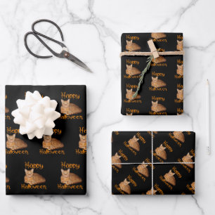 Happy Halloween Non-Scary Orange Tabby Cat Wrapping Paper Sheet