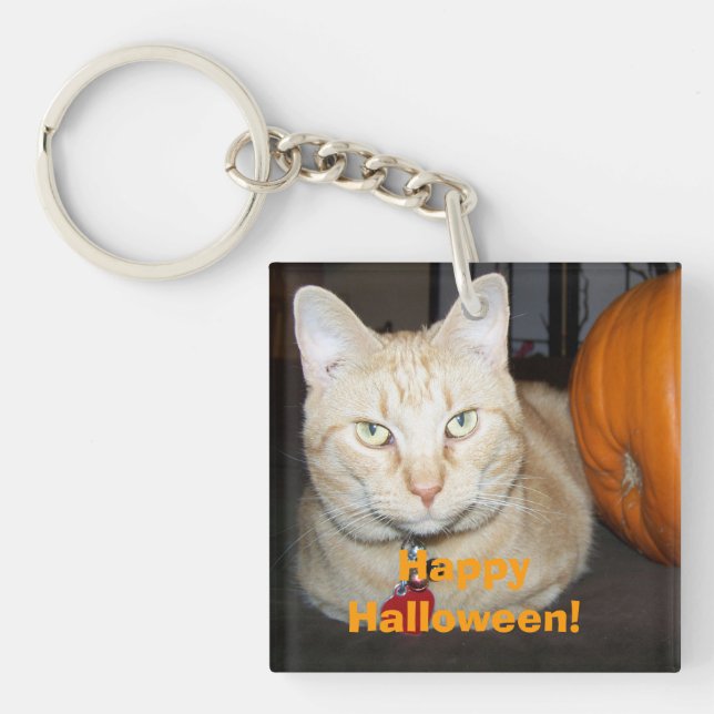 Happy Halloween Orange Tabby Cat With Pumpkin Keychain (Front)