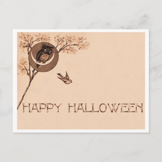 Happy Halloween Owl Postcard (Front)
