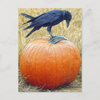 HAPPY HALLOWEEN POSTCARD