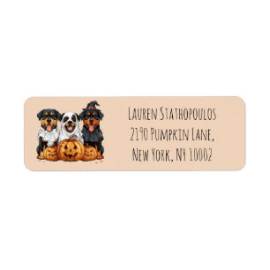 Happy Halloween Rottweiler Dogs Jack O Lantern