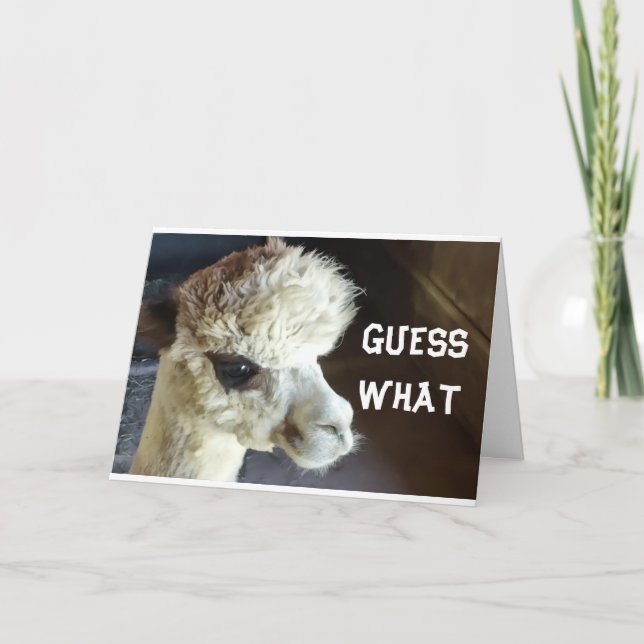 HAPPY *HALLOWEEN* SAYS LLAMA CARD (Front)