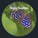 Happy Hanukkah blue and white butterfly Classic Round Sticker<br><div class="desc">Vibrant and Joyful this blue and white butterfly is ready to send your  Hanukkah greetings. The text can be customized to meet your needs. Photo by Ruth Jolly.See also matching products.</div>