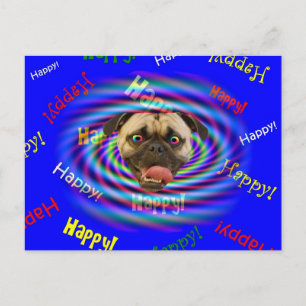 Happy Happy Happy Birthday!!! Crazy Pug Postcard