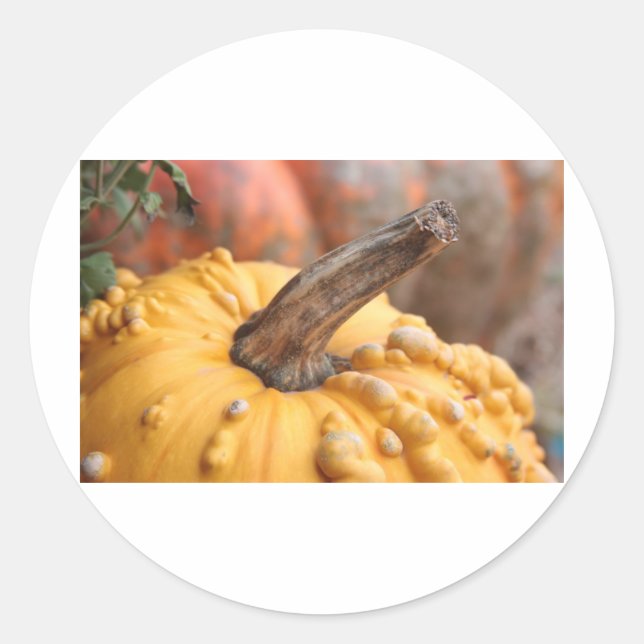 Happy Harvest! Classic Round Sticker (Front)