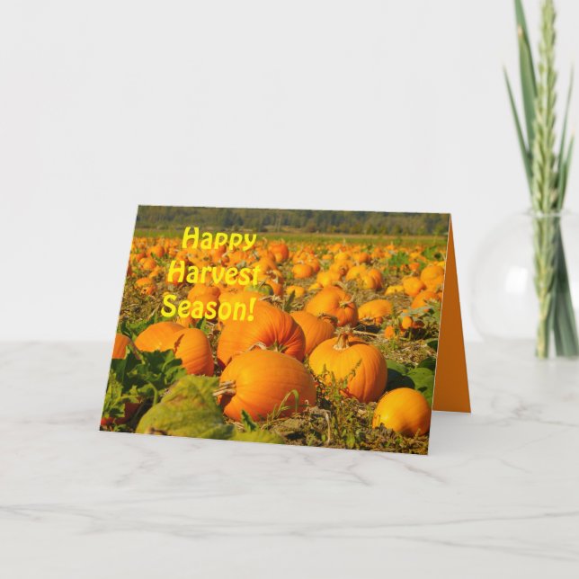 Happy Harvest Season, Pumpkin Patch Scene Greeting Card (Front)