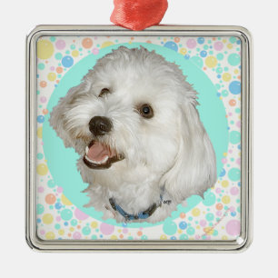 Happy Havanese Metal Ornament