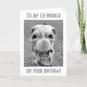 HAPPY HE HAW "BIRTHDAY" TO MY *CO-WORKER* CARD