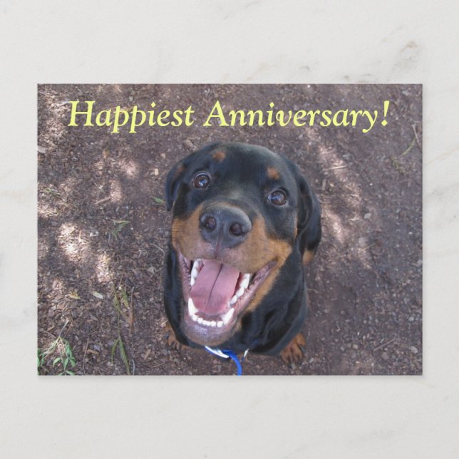 Happy Heidi Happiest Anniversary Postcard (Front)