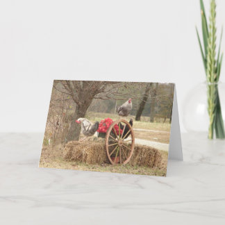 Happy Hen Holidays Card