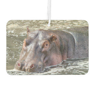 Happy Hippo Air Freshener