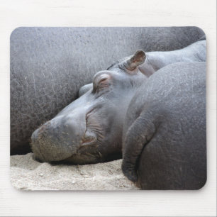 Happy hippo mousemat mouse pad