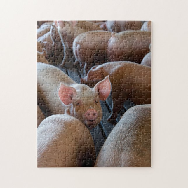 Happy Hogs on a Pig Farm Jigsaw Puzzle (Vertical)