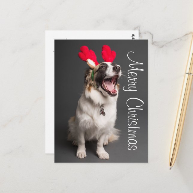 Happy Holiday Puppy Postcard (Front/Back In Situ)