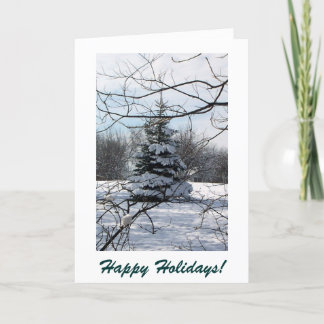 Happy Holidays 1 Holiday Card