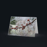 Happy Holidays Card<br><div class="desc">Ice encased berries,  winter,  ice,  holidays,  Christmas</div>