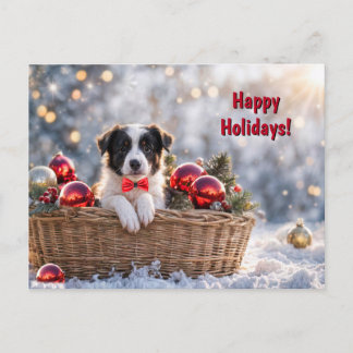 Happy Holidays Cute Border Collie Type Puppy Holiday Postcard